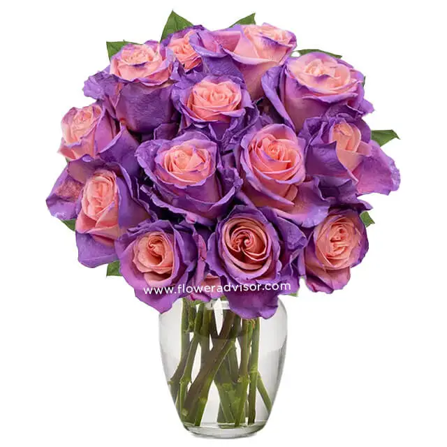 One Dozen Blushing Lavender Roses - Anniversary