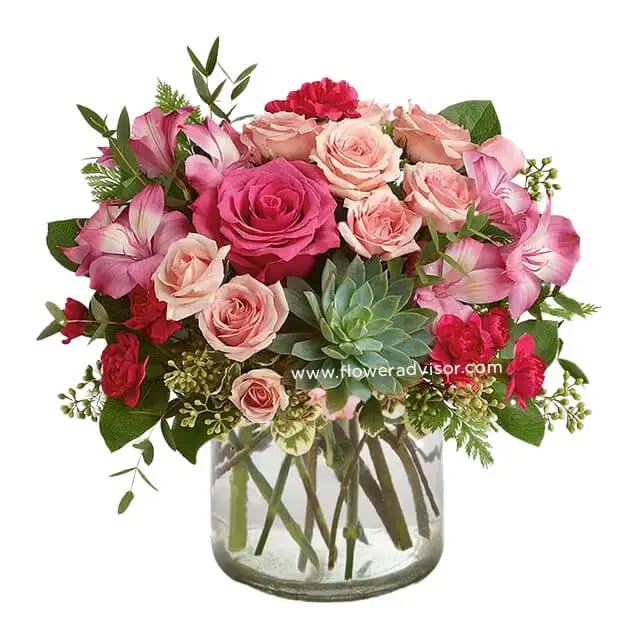 Pink Rose Succulent Garden - Valentine's Day