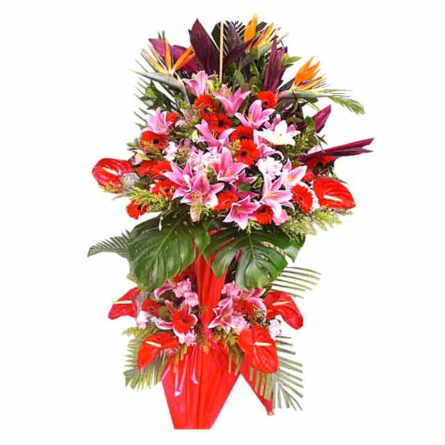 Vivacious Variety - Standing Flowers