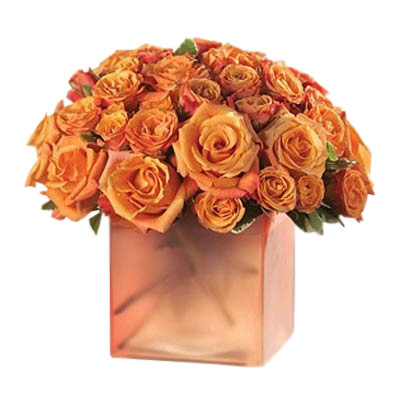 Opulent Orange Roses - Anniversary