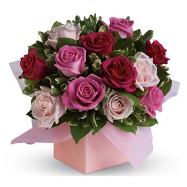 Blushing Roses - Valentine's Day