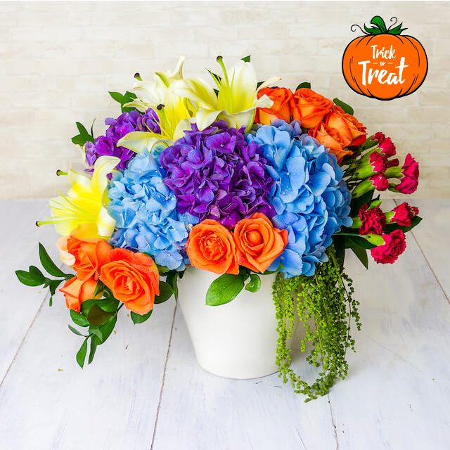 Florainbow - Trick or Treat - Mixed Flowers