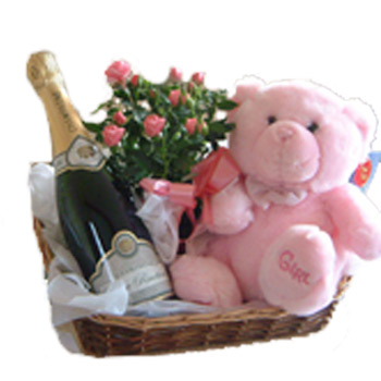 Baby Girl Champagne Rustic Rose Basket - New Borns
