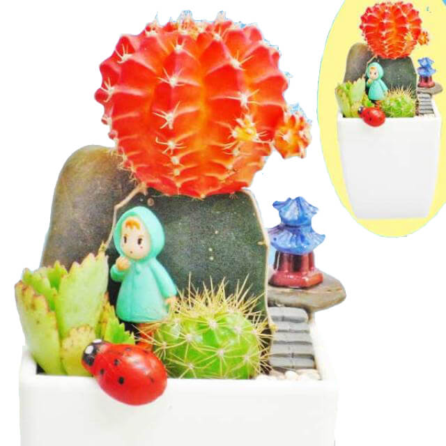 Sunrise Cactus - Table Flowers