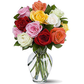 Mixed Rainbow Roses - Anniversary