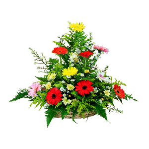 Gerbera Basket - Table Flowers