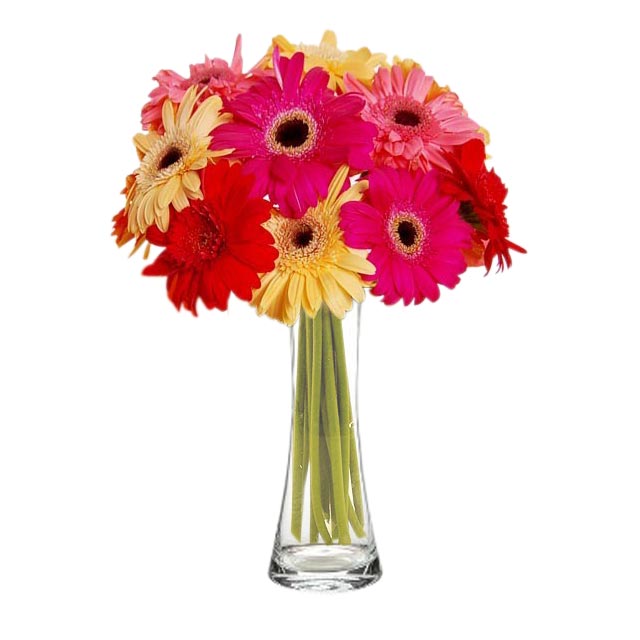 Mixed Gerberas - Table Flowers