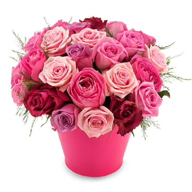 Roses of Plenty - Valentine's Day
