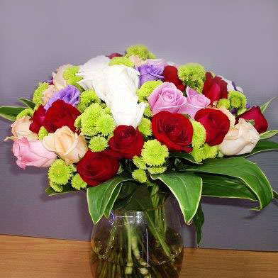 Compact Roses - Table Flowers