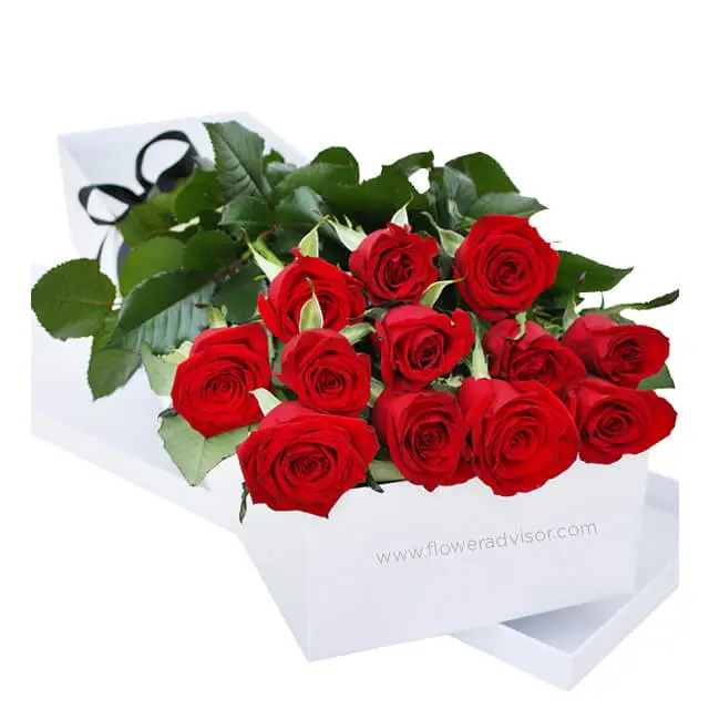 One Dozen Gift Boxed Red Roses - Red Roses