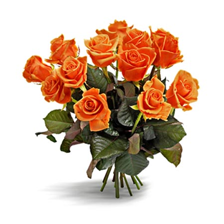Orange Rose Bouquet - Orange Roses