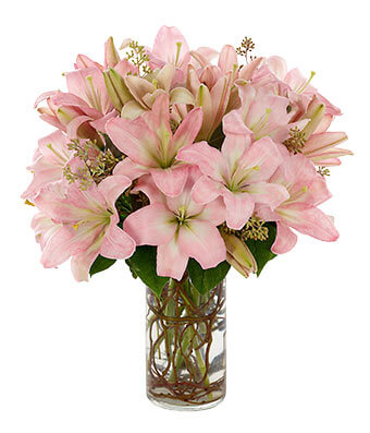 Stunning Pink Lilies - Get Well Soon