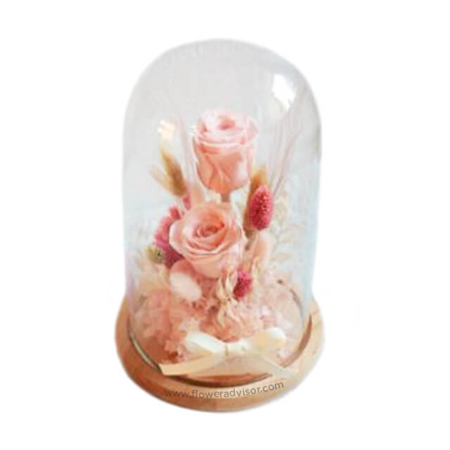 Pink Hearthrob - Preserved Flowers