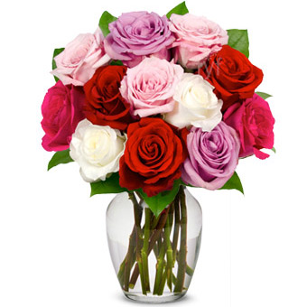 One Dozen Assorted Spring Roses - Valentine's Day