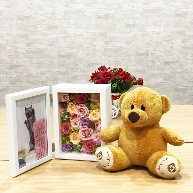 Preserved Flowers Bundle - Cuddly Love - Valentine's Day