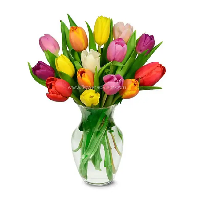 Summer Tulip Bouquet - Get Well Soon