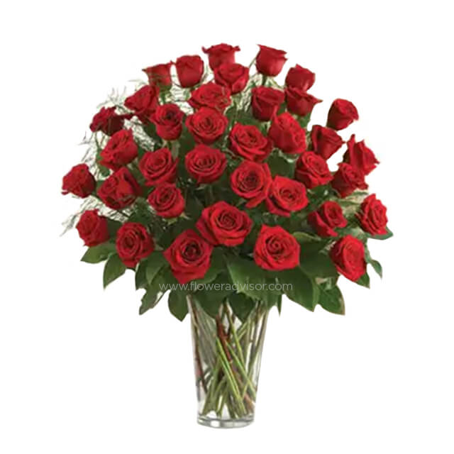 Premium Red Roses - Valentine's Day