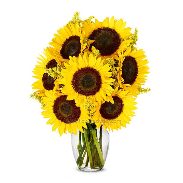 Stunning Sunflowers - Get Well Soon