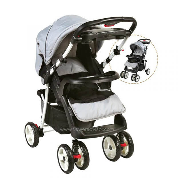 Reversible Stroller - Baby Gifts