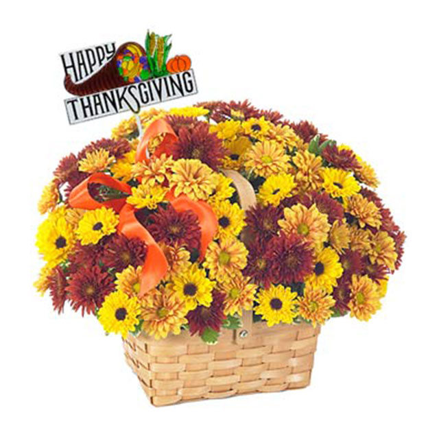 Give Thanks Daisy Basket - Thanksgiving