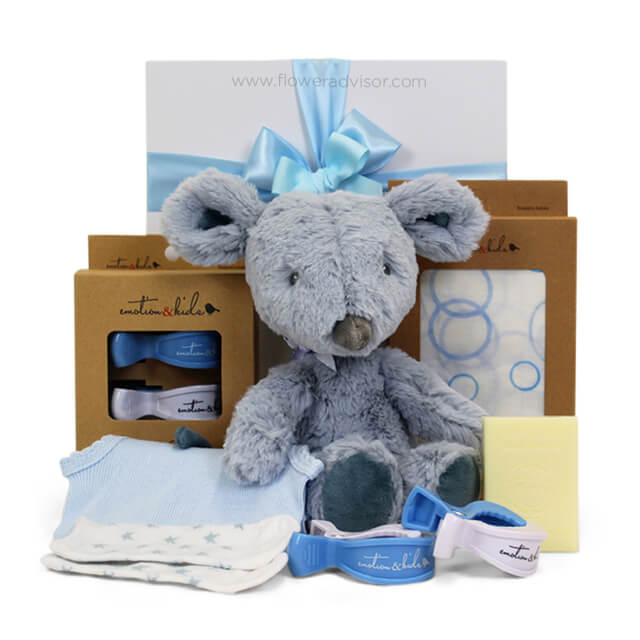 Baby Mouse Gift Hamper Boy - Baby Gifts