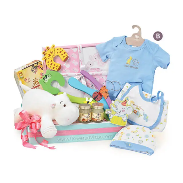 Babys Precious Gift - Baby Gifts