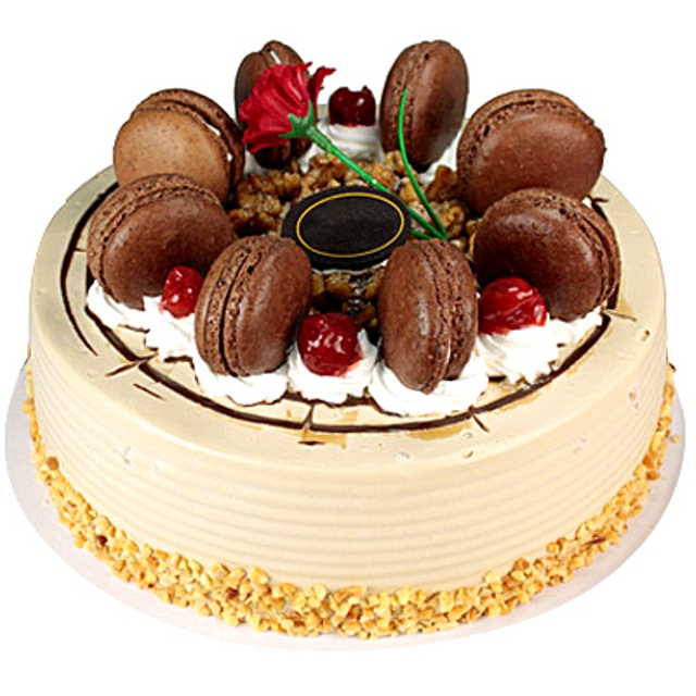 Macarons & Cake - Birthday