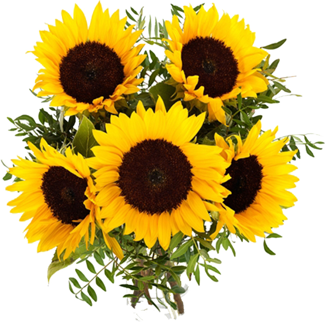 Radiant Sunflower - Hand Bouquets