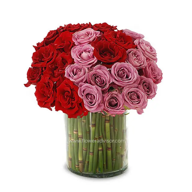 Red and Pink Roses in a Vase - Palette