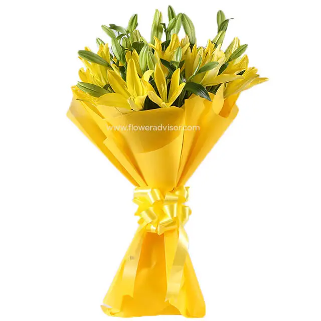 8 Yellow Lilies