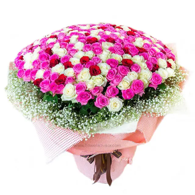 Big Bouquet of 500 Mixed Roses - Love You 500