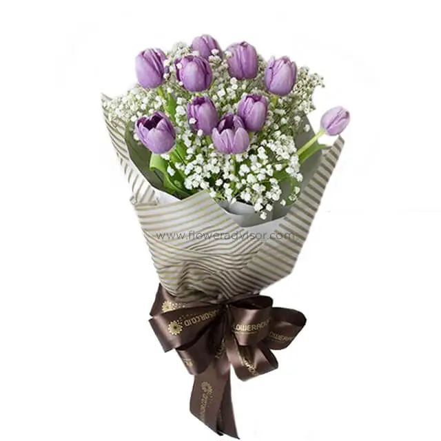 10 Purple Tulips Bouquet with Baby Breath - Charlotte