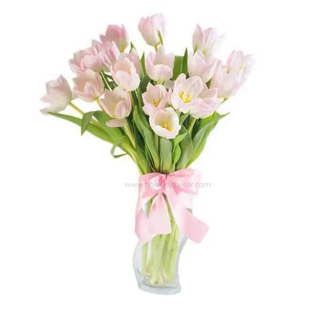 20 Pink Tulips in A Vase Arrangement - White Diamond