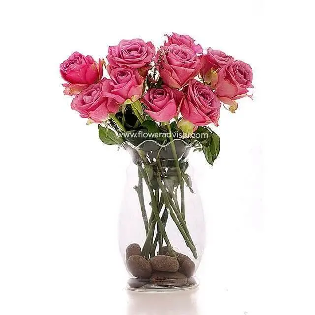 12 Pink Roses Vase Arrangement - 12 Minutes