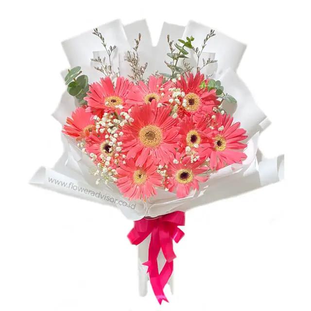Special Pink Gerberas Bouquet - Isla