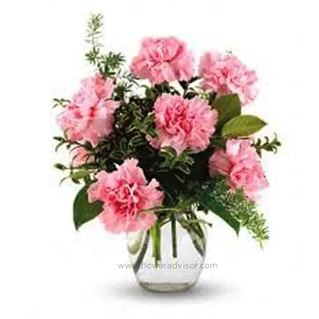 6 Stalk Carnation Vase Arrangement - Lovely Carnations