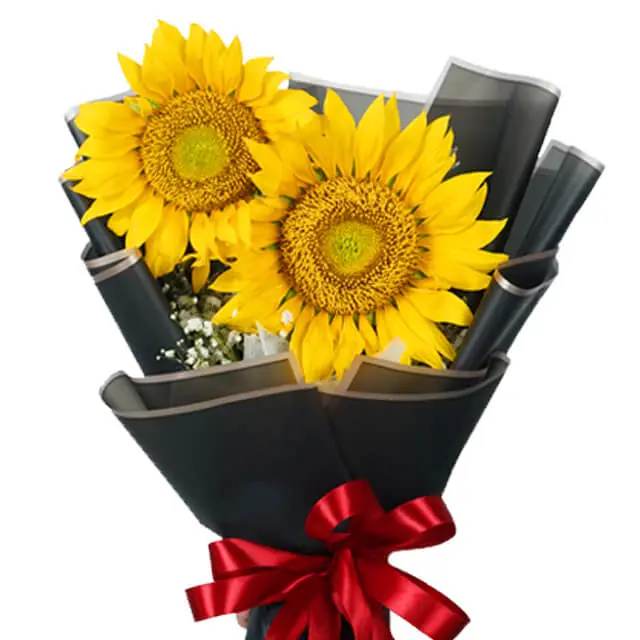 2 Stalks Sunflower Bouquet - Sunshine Smiles Bouquet