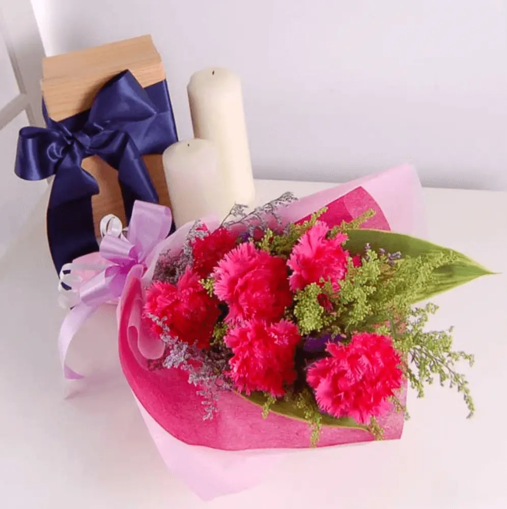 6 Pink Carnations Bouquet - Voice of Reason