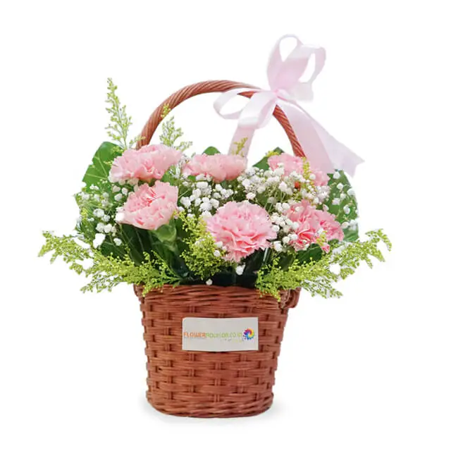 Pink Carnation Basket Arrangement - Petal Dreams