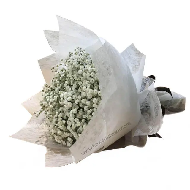 Majestic Baby Breath Bouquet - White Babies