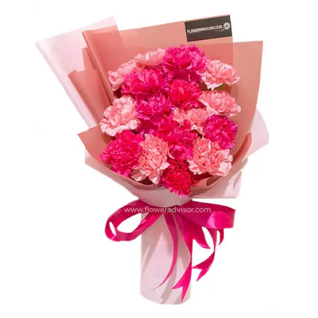 16 Red & Pink Carnations Bouquet - I Care