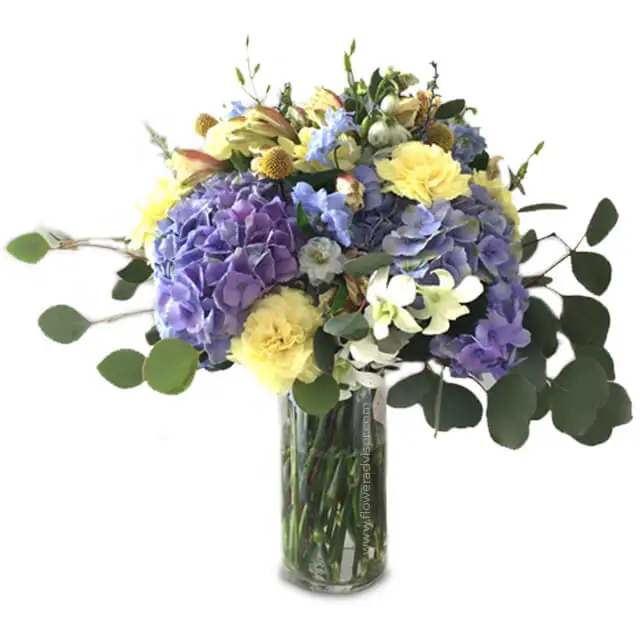 Enchanted Hydrangea and Carnation Vase Arrangement - Hunty