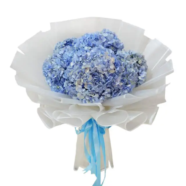 Blue Hydrangeas Bouquet - My Baby Blue