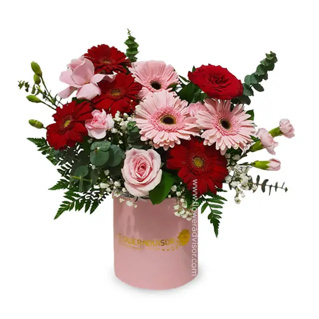 Enchanting Gerbera Bloom Box - Joyous Shades