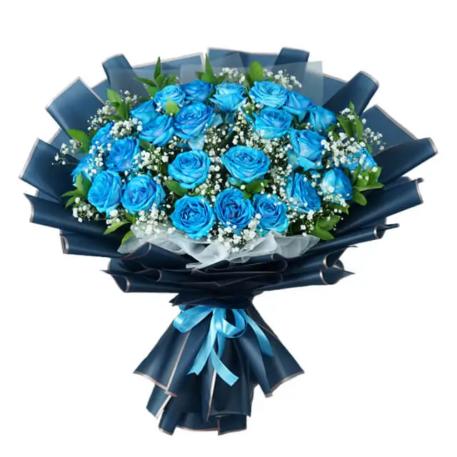 24 Blue Rose Bouquet - Wonder