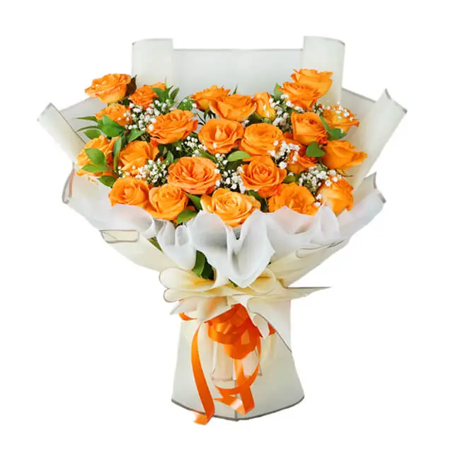24 Orange Roses Bouquet - Lovely