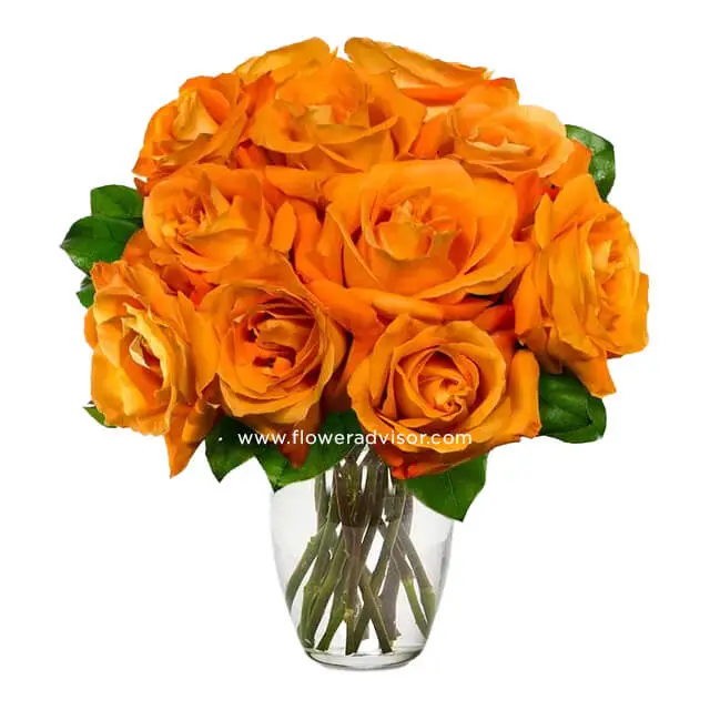 A Dozen Orange Roses
