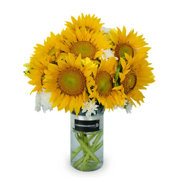 Ray of Sun - Sunflower Vase Arrangement