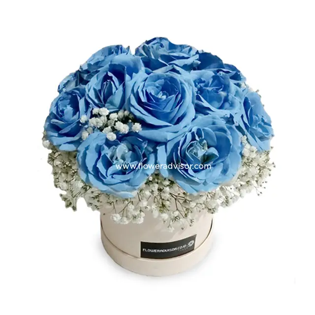 15 Blue Rose in a round bloom box with love