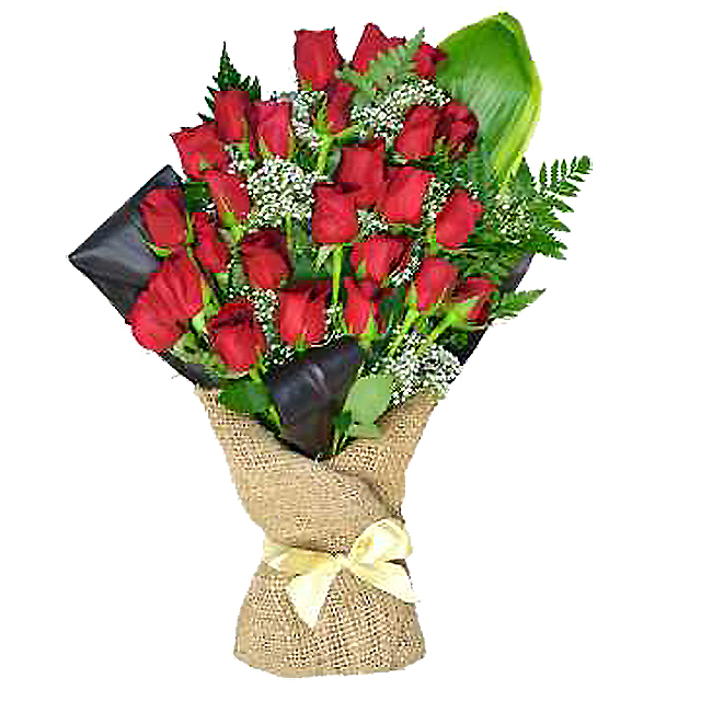 24 Bright Red Roses